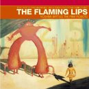 Flaming Lips - In The Morning of The Magicians 이미지