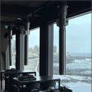 바다를 품은 돼지 이미지