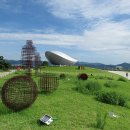 강정본길 이미지