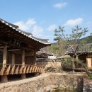 자작나무 조형물 이미지