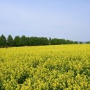 구리시민운동장 이미지