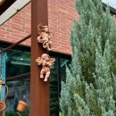 마낭 | 충남 금산 | 대전근교 | 이쁜 정원이있는 가드닝카페 '카페마낭'