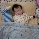 아주어린이집 | 13개월 아기 관찰일기(첫 걸음마, 만 0세반 어린이집 적응 스케줄, 거제 벨버디어 여행, 또 농구ㅋㅋㅋ)