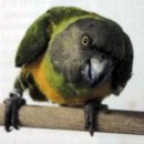 군포굿닥터동물병원 이미지