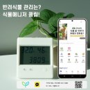 송월여관 | [마켓참여] 2023.09.02 국립극장 아트 인 가든 식물마켓