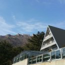 금산분재펜션 이미지