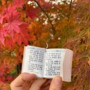 오토오아시스 태양점 | 11월 최겸 다이어트 식단 후기