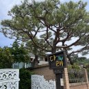 다래 전통찻집 이미지