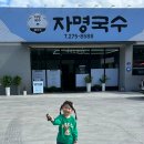 자명국수