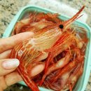 울진새댁수산