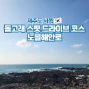 노을해안로 | 제주도 서쪽 여행 드라이브 코스 돌고래 스팟 노을해안로