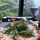 개멍물멍 이미지