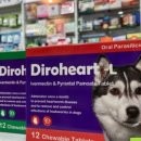 참메디칼약국 이미지