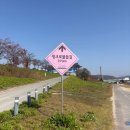 안동소방서 | [안동여행] 안동 그라스원 핑크뮬리, 9-11월 사진맛집