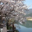 쉴만한강가 이미지