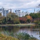 일산호수공원 이미지