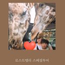 (주)세명랜드 | 에버랜드 로스트밸리 스페셜투어 예약 꿀팁 아이와 잊지못할 동물탐험 후기