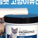 제이원피앤지 이미지