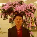 둔내초등학교 이미지