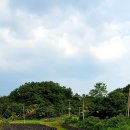 상지말저수지 이미지