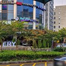 남부순환로323길 44-3 | 백년옥 – 서울 서초 남부터미널 두부요리 미쉐린 맛집! 예술의 전당 앞 건강한 한끼