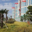 LH아파트 앞 이미지