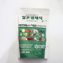 참미래식량연구소 생채식 비건 쉐이크 후기｜88가지 발효 생채식 야채가루