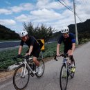 강구농협 달산지점 이미지