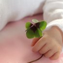 수원-2044 이미지