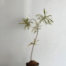 송간농장 이미지