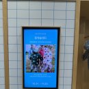 [서울] 성수 29키즈 아기 옷 쇼핑 리틀그로브 모노레임 후기🛍️
