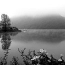 이른아침민박 이미지