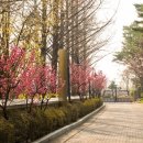 양화진공원 입구 이미지