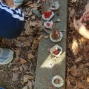 동신어린이집 이미지