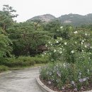 동산여관 이미지