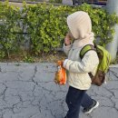 시온약국 | (영통)_ 시온여성병원 3~4주차 진료후기