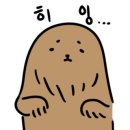 제주 호박 민박 이미지