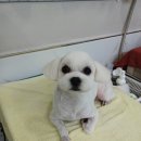 견생스타일 이미지