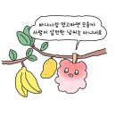 코스모스파티세리 | 여름의 밝음이 피어나면