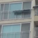 동구태양광발전소 이미지