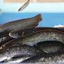 아리곳간 이미지