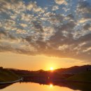 데칼코마니 이미지