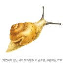 [2012 푸른문학상 상반기 동화 당선작] 강은령 / 홍기운 이미지