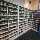 공굴러가유 이미지