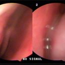 코시원이비인후과의원 이미지