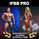 주식회사 인스타짐 이미지