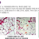 어육만만 이미지
