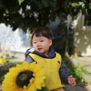 윤재농장 이미지