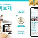 안녕펫(물어보개) 이미지