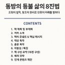 21세기건강유통 | 『동방의 등불 삶의 8진법』 출판 프로젝트 실천 로드맵